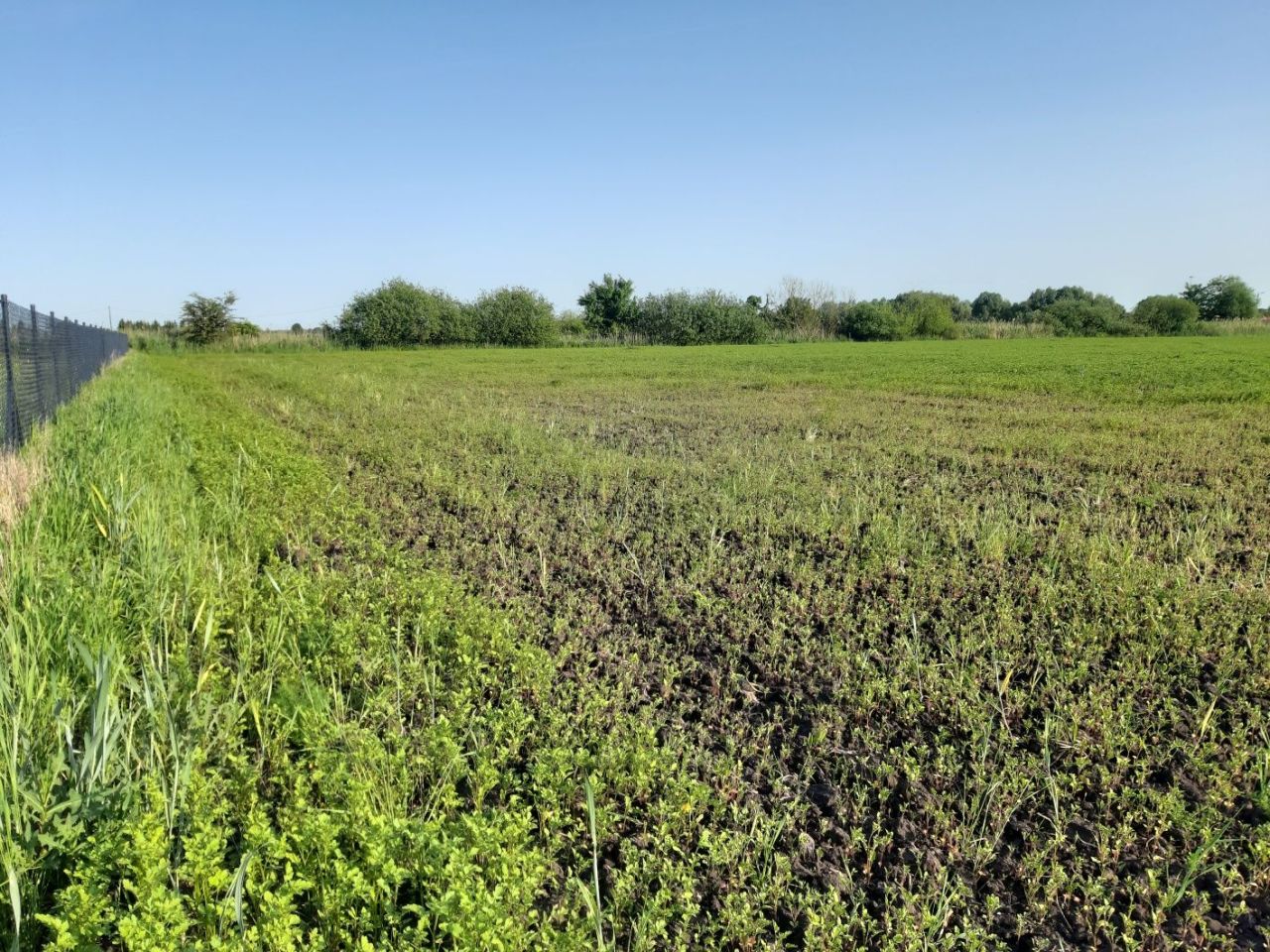 Działka budowlana Deszczno, ul. Wietrzna. Zdjęcie 2