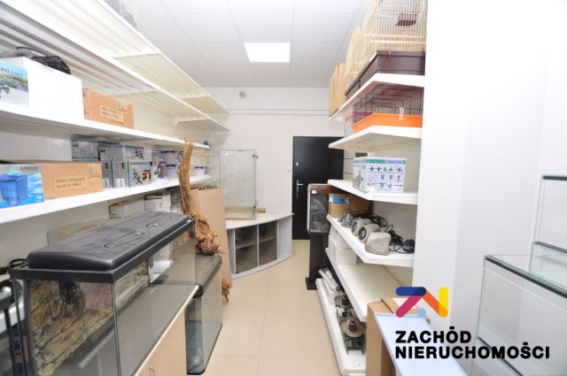 Lokal Zielona Góra Jędrzychów. Zdjęcie 6