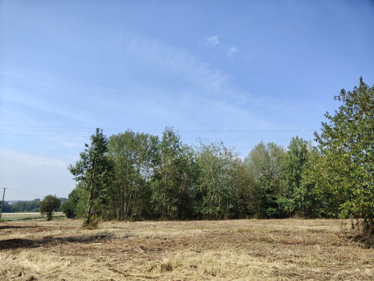 Działka budowlana Jabłonna Pierwsza. Zdjęcie 19