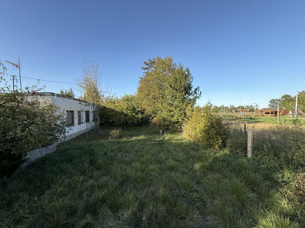 Działka inwestycyjna Czerwonka. Zdjęcie 3