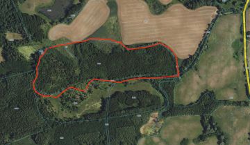 Działka leśna Jurki