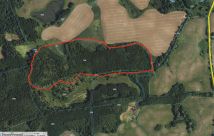 Działka leśna Jurki