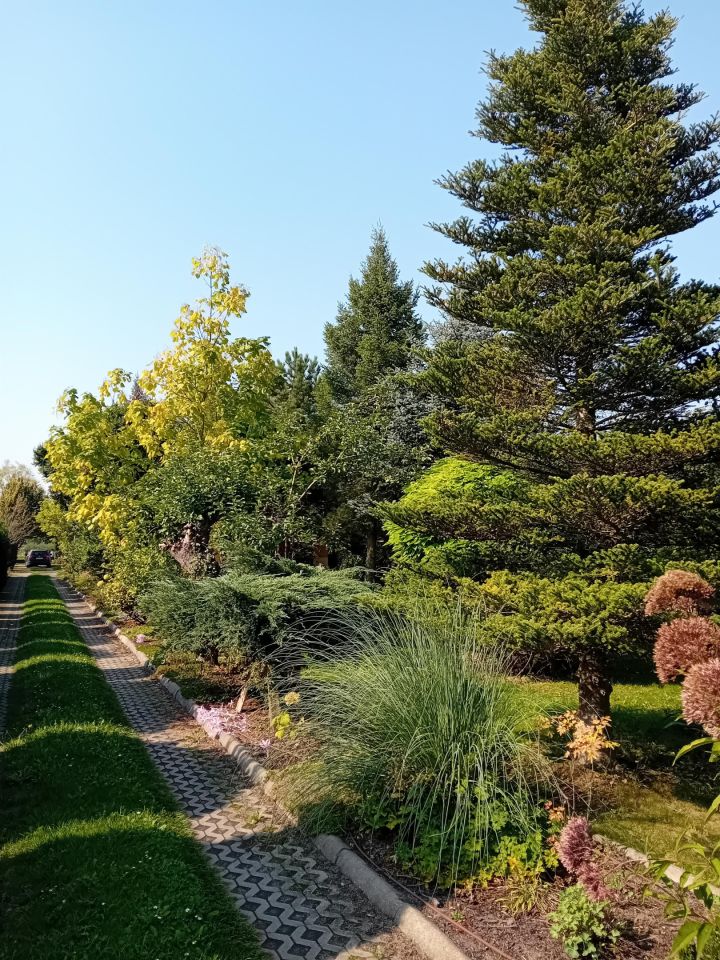 dom wolnostojący, 5 pokoi Grabina Radziwiłłowska, ul. Duża. Zdjęcie 3