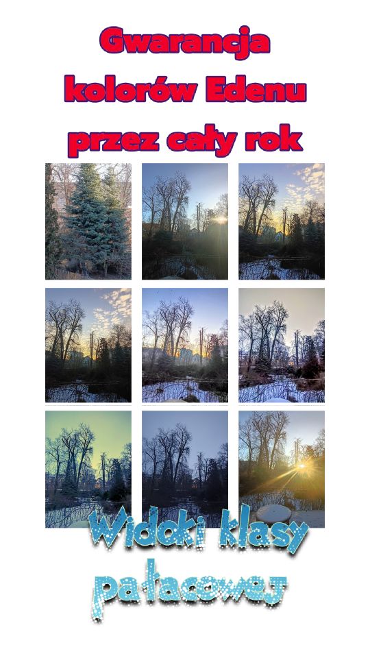 inny, 6 pokoi Wrocław Borek, ul. Wolbromska. Zdjęcie 26