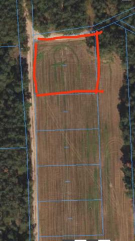 Działka budowlana Skępe. Zdjęcie 1