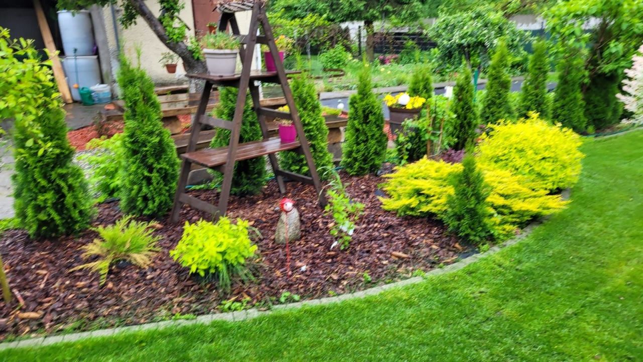 Działka rod Będzin Boleradz. Zdjęcie 2