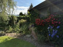 Działka rolno-budowlana Jerzyn. Zdjęcie 4