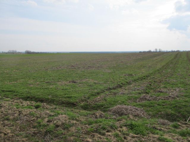 Działka rolna Gaworzyce, brak. Zdjęcie 6