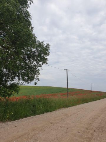 Działka budowlana Talki. Zdjęcie 8