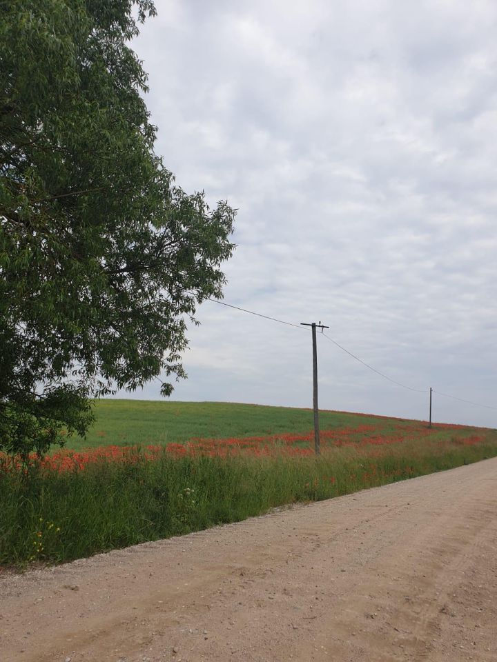 Działka budowlana Talki. Zdjęcie 8