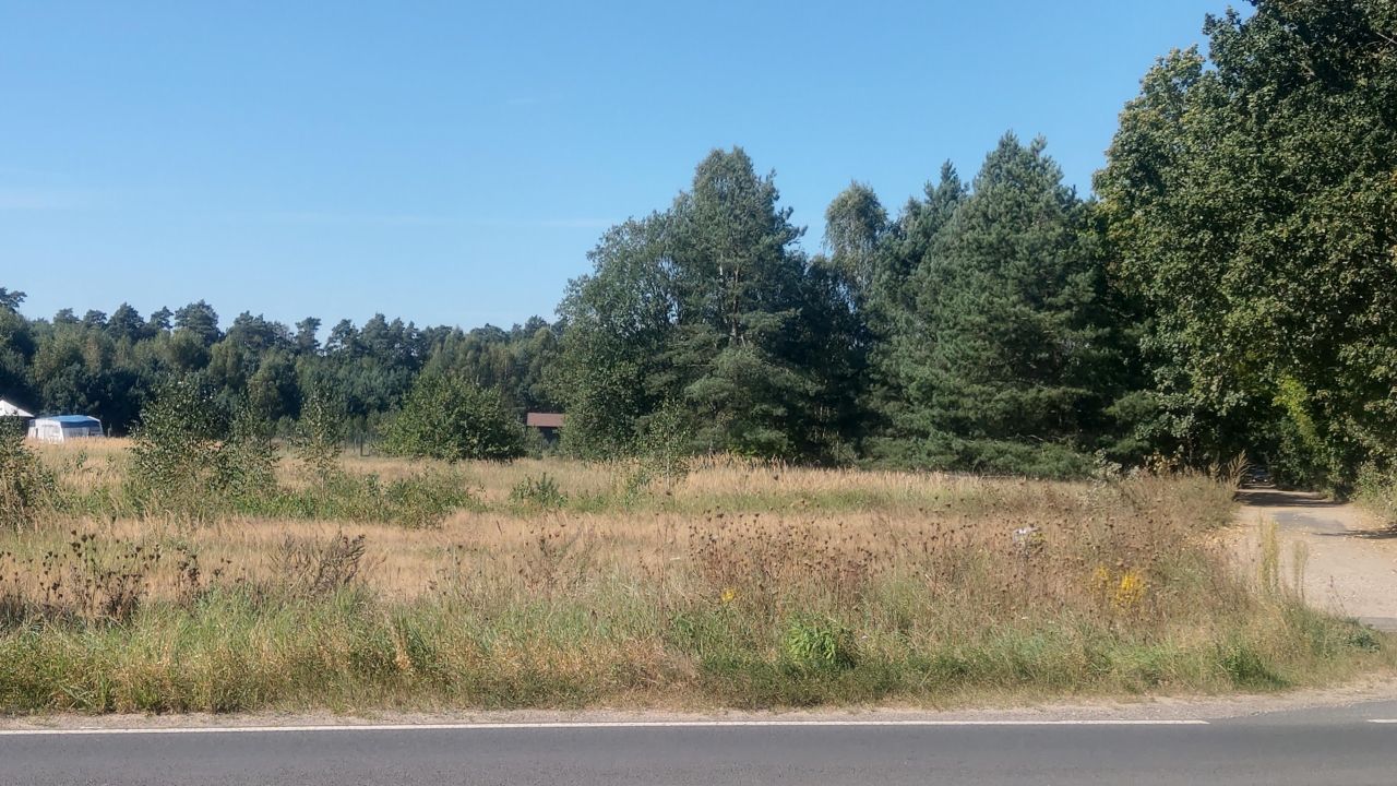 Działka budowlana Pławno. Zdjęcie 7