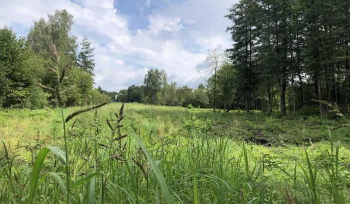 Działka budowlana Dąbrowa Górnicza Ząbkowice, ul. Związku Orła Białego
