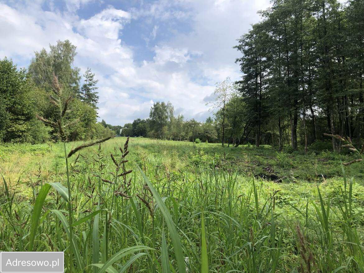 Działka budowlana Dąbrowa Górnicza Ząbkowice, ul. Związku Orła Białego