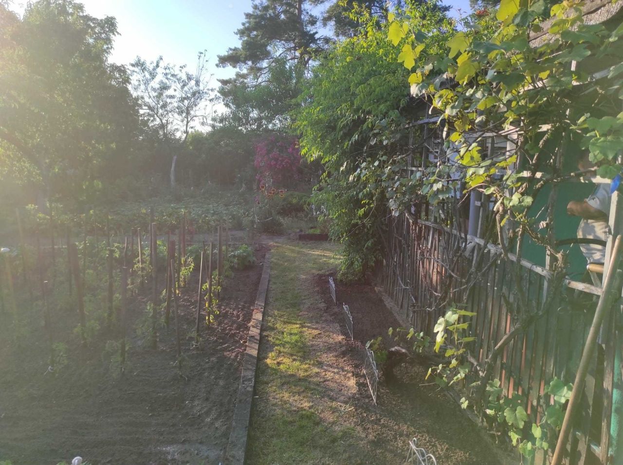 Działka rod Wilkanowo. Zdjęcie 3