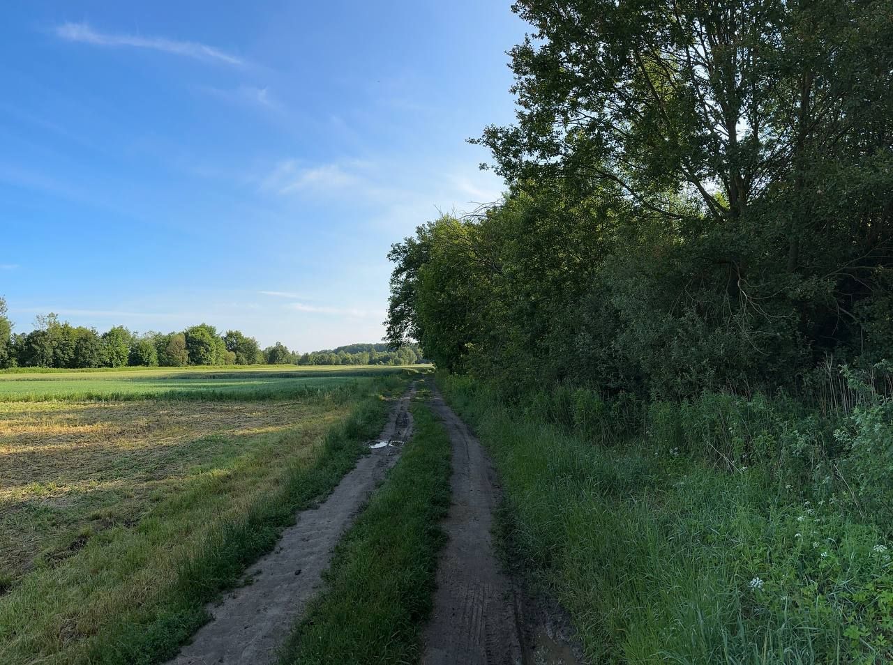 Działka rolna Rudawica. Zdjęcie 2