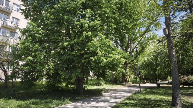 Mieszkanie 2-pokojowe Warszawa Rakowiec, ul. Mariana Nowickiego. Zdjęcie 10