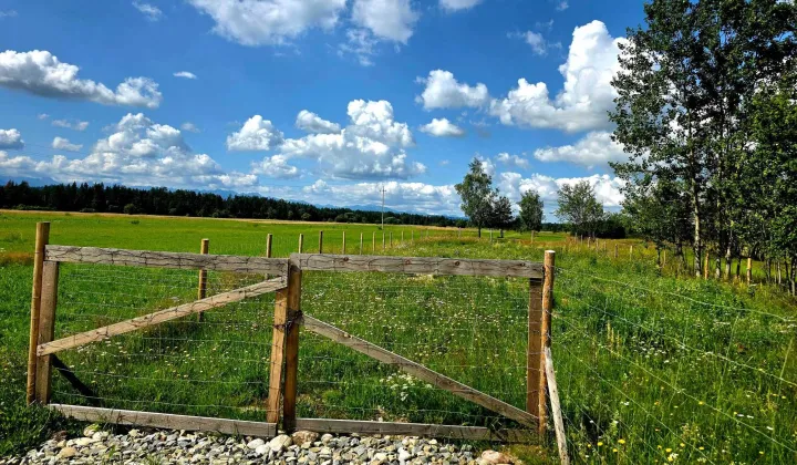 Działka budowlana Dębno