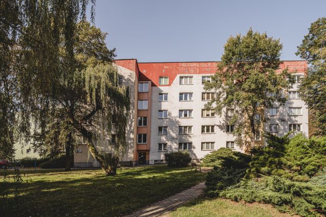 Mieszkanie 1-pokojowe Toruń, ul. Konstantego Ildefonsa Gałczyńskiego. Zdjęcie 11
