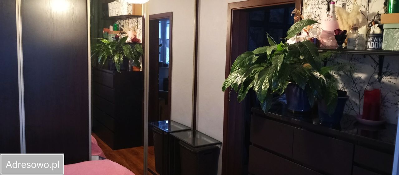 Mieszkanie 2-pokojowe Katowice, ul. Pawła Edmunda Strzeleckiego. Zdjęcie 2