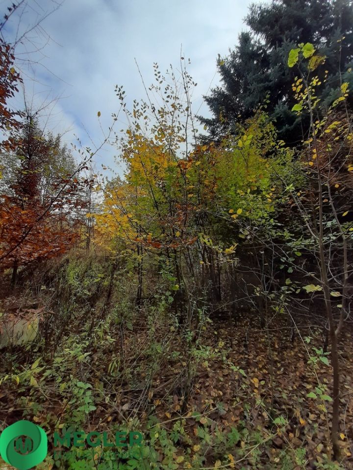 Działka budowlana Rusiec. Zdjęcie 3