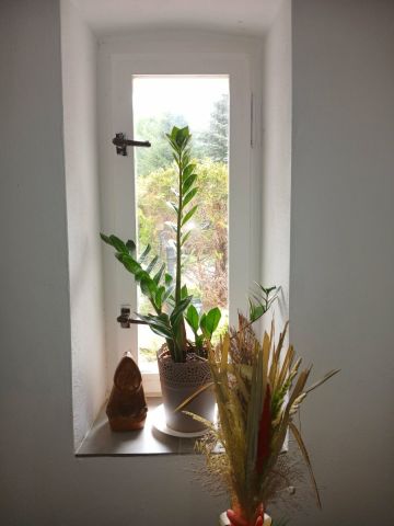 dom wolnostojący, 5 pokoi Chmieleń. Zdjęcie 14