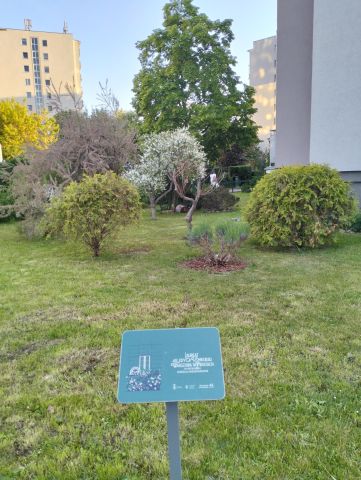 Mieszkanie 5-pokojowe Warszawa Praga-Południe, ul. Władysława Umińskiego. Zdjęcie 18