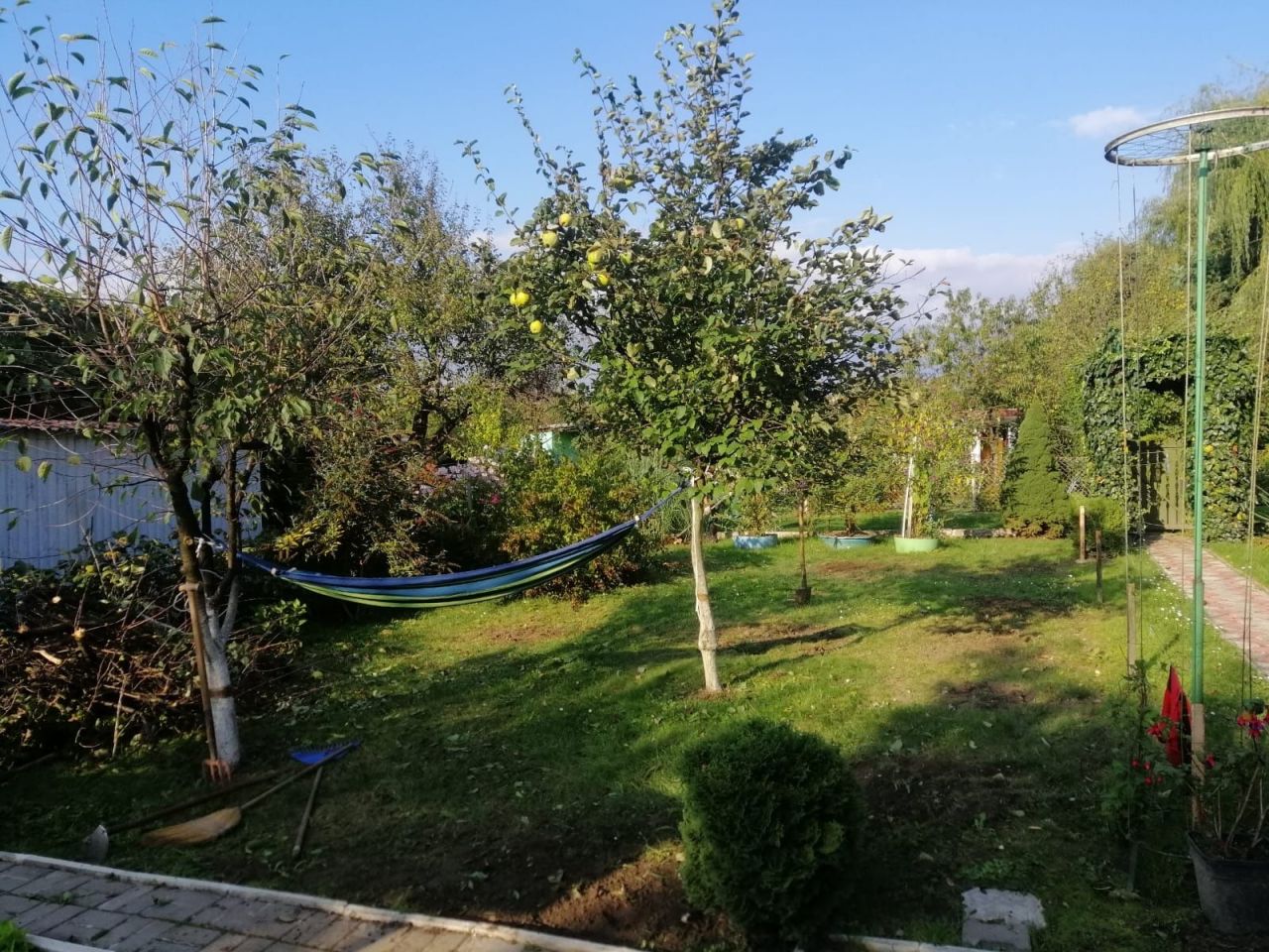 Działka rod Jastrzębie-Zdrój. Zdjęcie 6