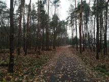 Działka siedliskowa Rudna Mała. Zdjęcie 2