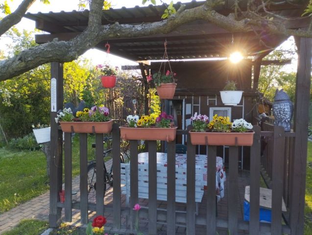 Działka rod Kluczbork, ul. Norwida. Zdjęcie 1