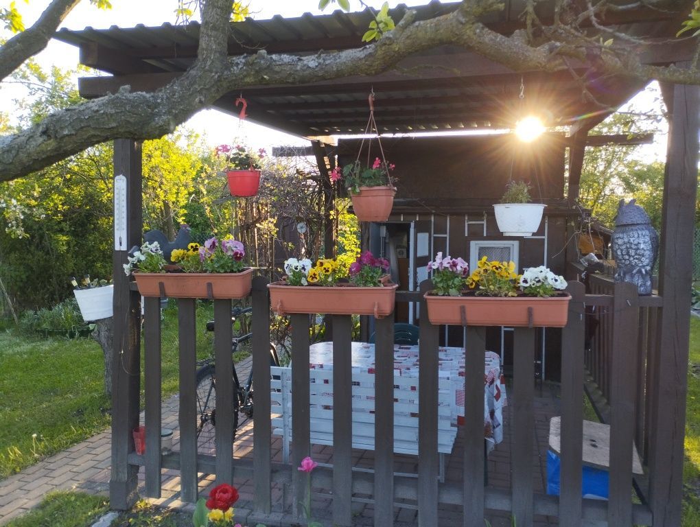 Działka rod Kluczbork, ul. Norwida. Zdjęcie 1