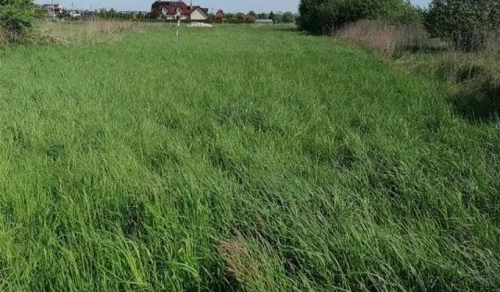 Działka budowlana Drwinia
