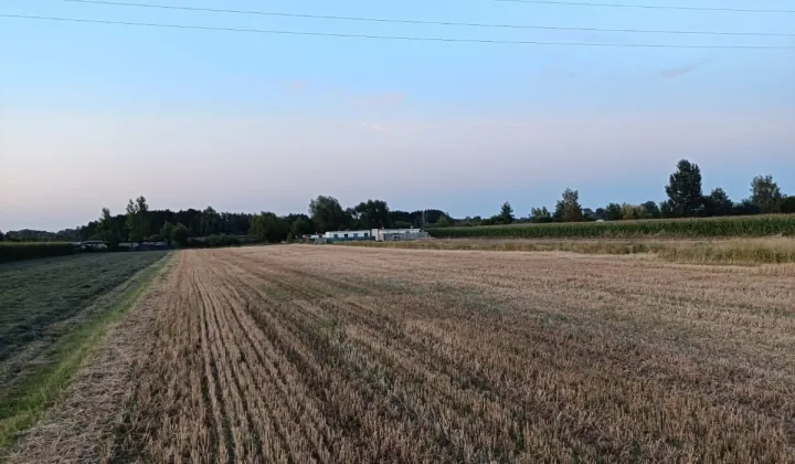 Działka rolna Zbęchy