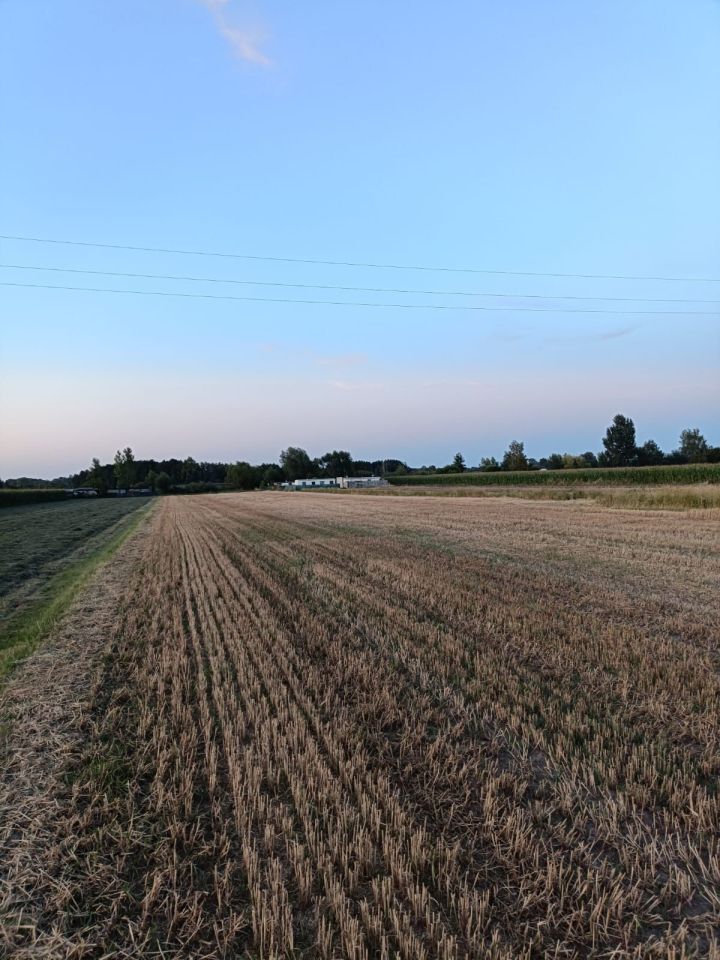 Działka rolna Zbęchy. Zdjęcie 1