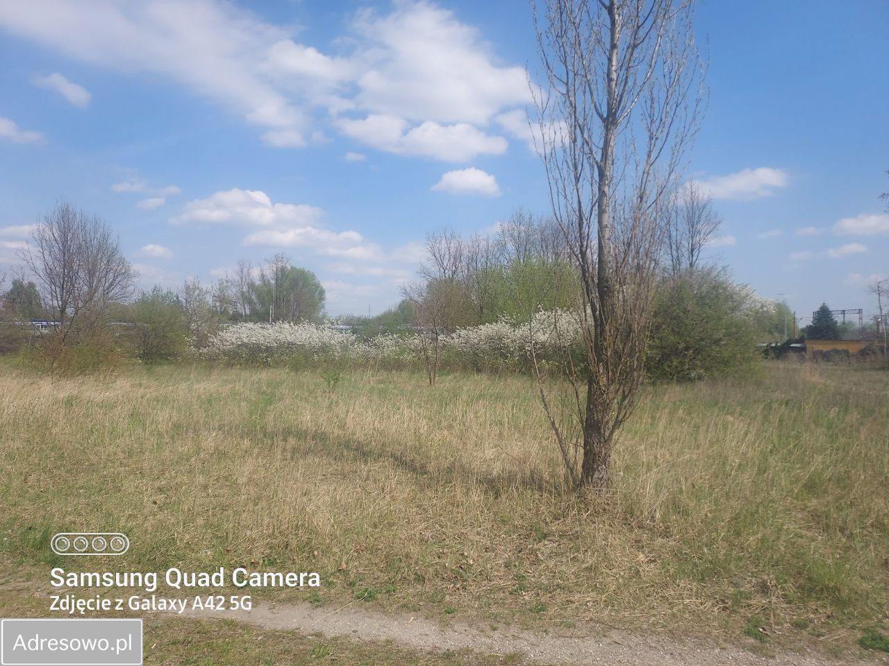 Działka rolna Radom Żakowice, ul. Wjazdowa. Zdjęcie 2