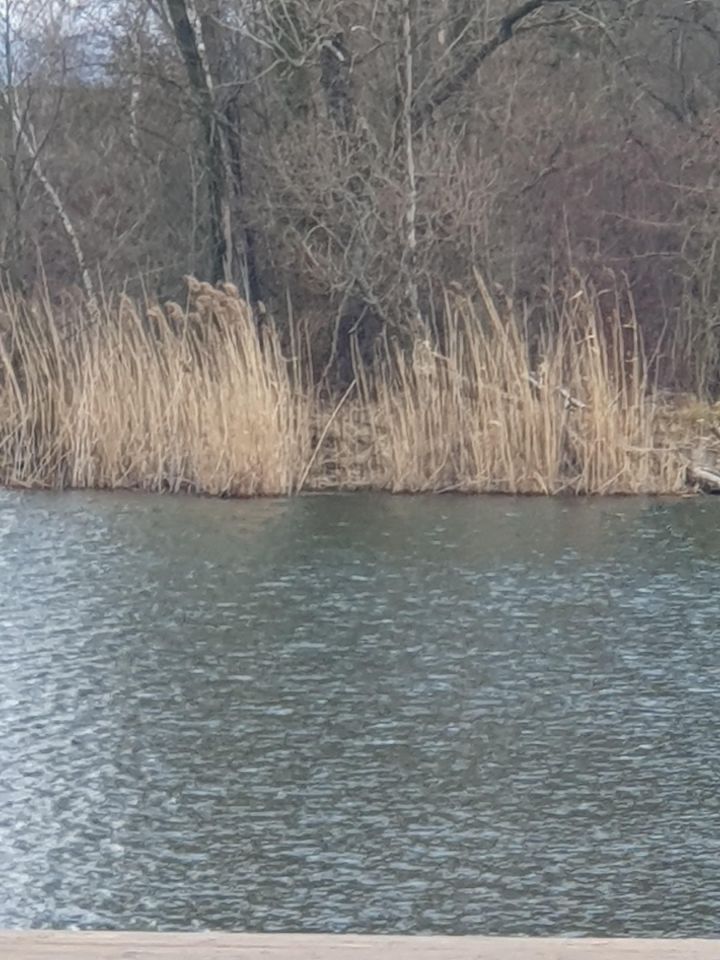 Działka rekreacyjna Olza, ul. Kolejowa. Zdjęcie 3