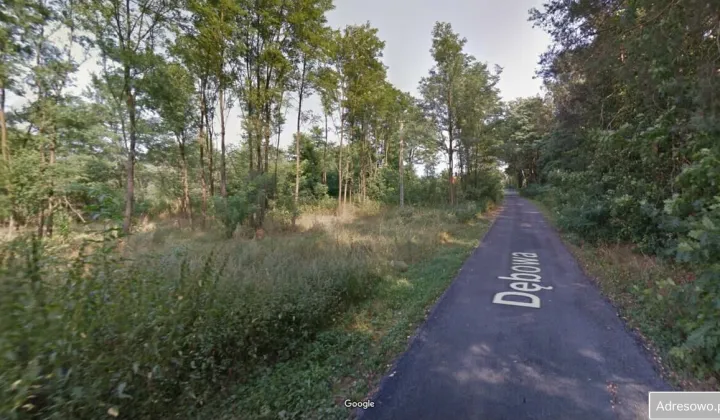 Działka leśna Powązki