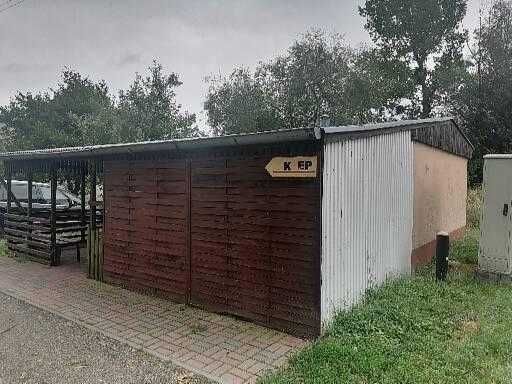 Lokal Pszeniczna. Zdjęcie 2