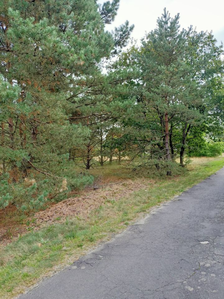 Działka rolna Świbinki. Zdjęcie 5