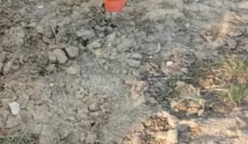 Działka rekreacyjna Wierzchowo