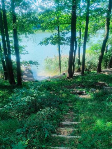 Działka rolno-budowlana Sidory. Zdjęcie 1