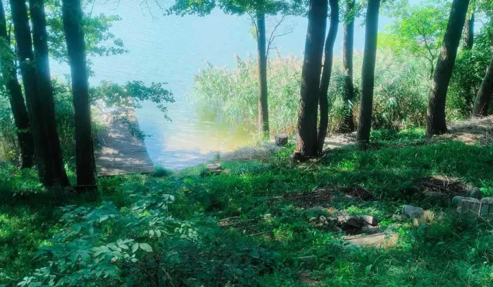 Działka rolno-budowlana Sidory