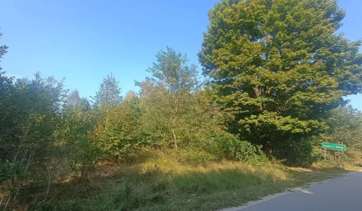 Działka rolno-budowlana Niekłań Mały, ul. Dworek