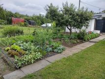 Działka rod Aleksandrów Kujawski Centrum, ul. Gabriela Narutowicza. Zdjęcie 2