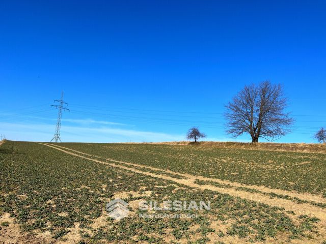 Działka budowlana Witoszów Dolny. Zdjęcie 1