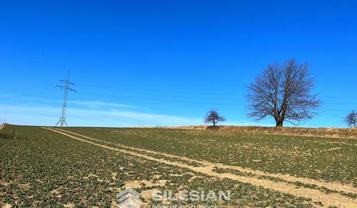 Działka budowlana Witoszów Dolny