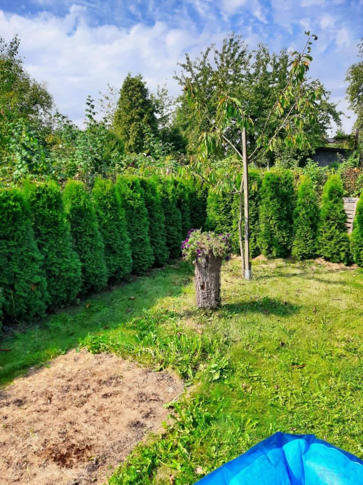 Działka rod Gliwice Stare Gliwice, ul. Kozłowska. Zdjęcie 7