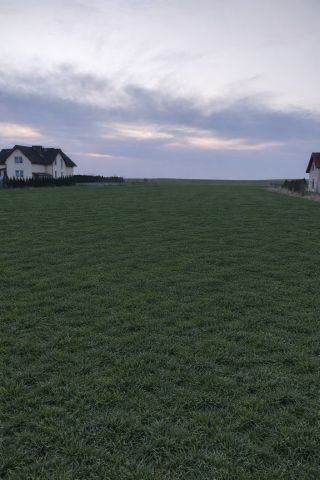 Działka budowlana Gogołów. Zdjęcie 1