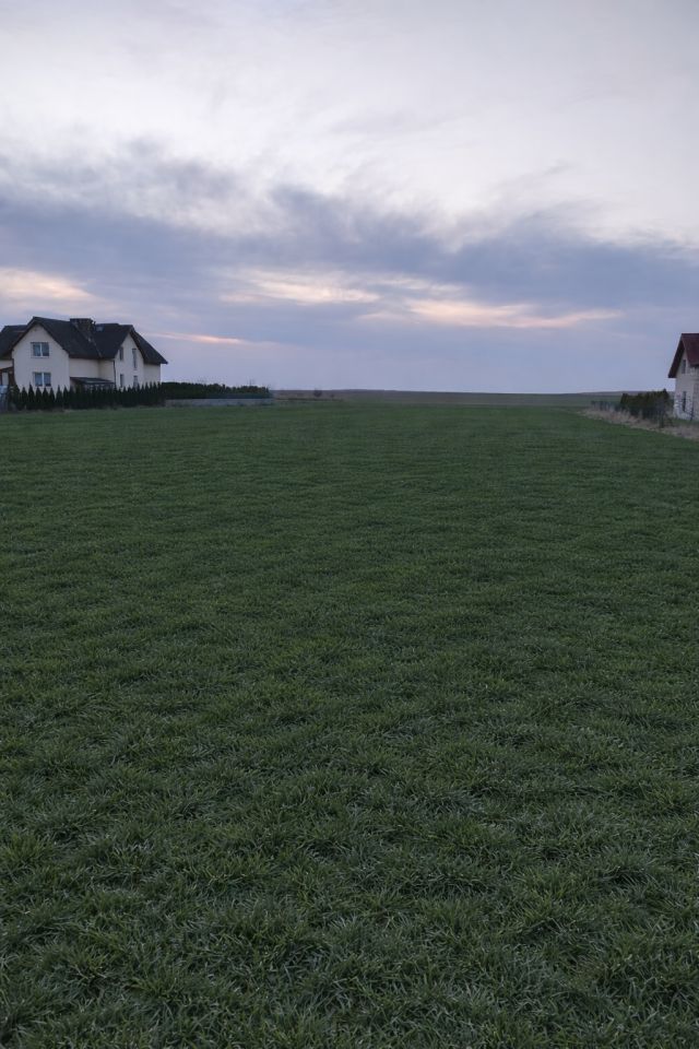 Działka budowlana Gogołów. Zdjęcie 1