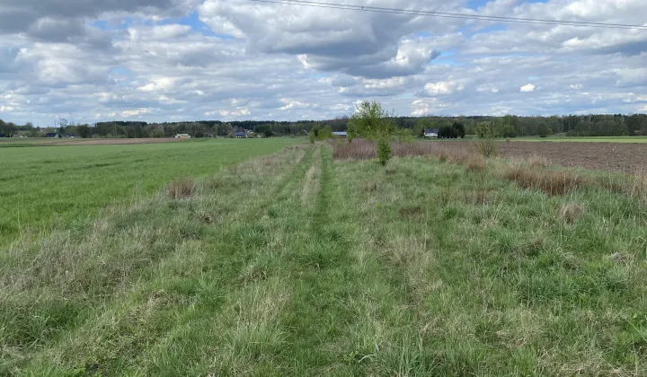 Działka rolna Przyłęk