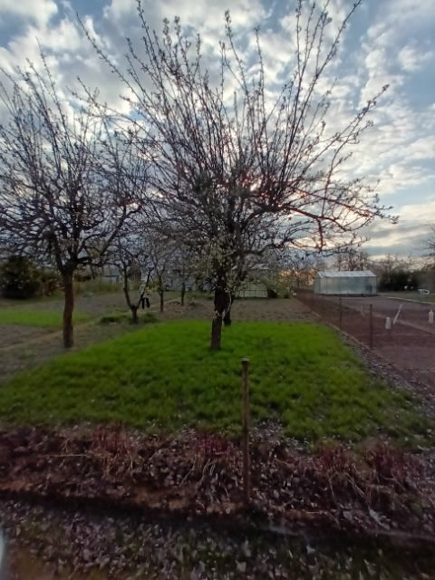 Działka rod Łobez. Zdjęcie 2